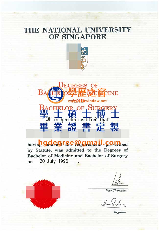 1995版新加坡國立大學文憑式樣|購買新加坡文憑|製作新加坡國立大學畢業證書