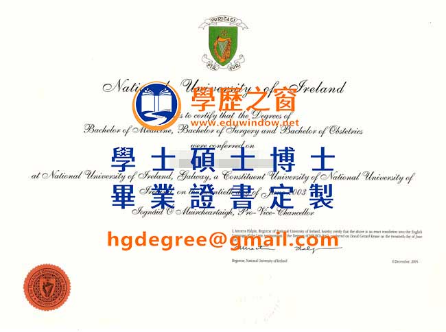 梅努斯大學文憑式樣|購買英國文憑|製作梅努斯大學畢業證書